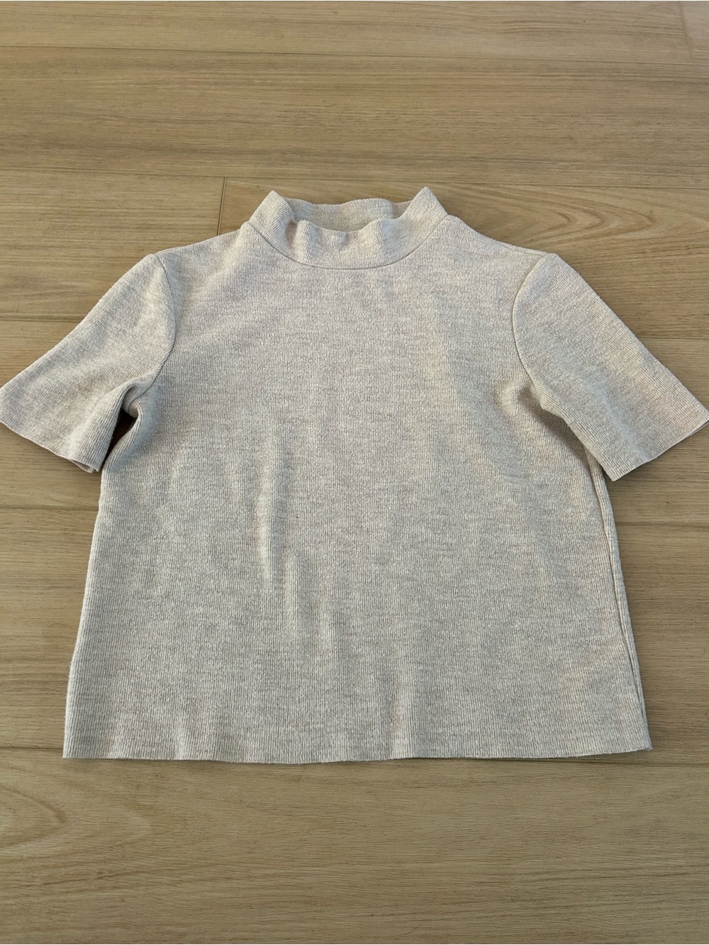 Zara Beige Mock Neck Cropped Top